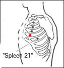 Spleen 21 meridian schematic