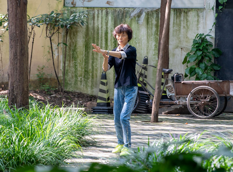 Tai Chi Chuan practice among trees and plants, solo