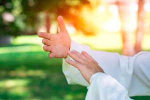 Tai Chi Chuan hands